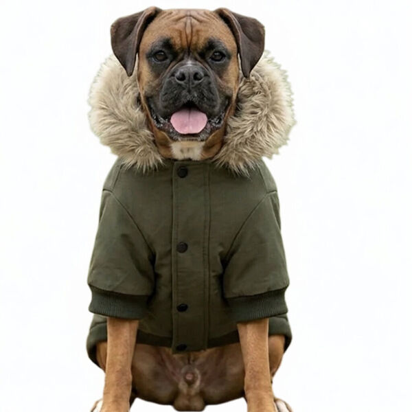 Dogs Parka